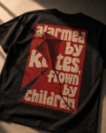 closeup of the design that reads: alarmed by kites flown by children